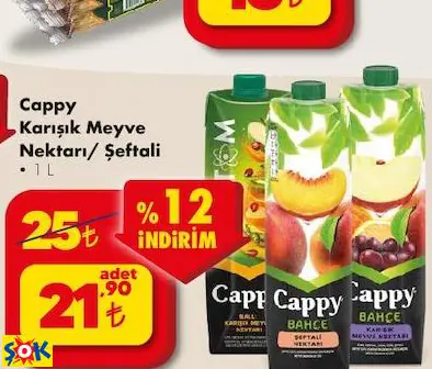 CAPPY KARIŞIK MEYVE NEKTARI/ ŞEFTALİ